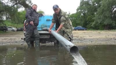 В реку Дон в Воронежской области выпустят три тонны мальков краснокнижной стерляди