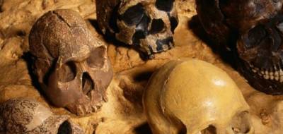 В Севастополе раскопали захоронение знати I века при строительстве «Тавриды»
