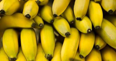 Партию бананов с кокаином на миллионы долларов пытались отправить в РФ