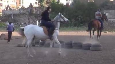 В Алеппо началось возрождение конного спорта