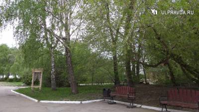Обещают дождь и ветер. Погода в Ульяновской области 21 мая