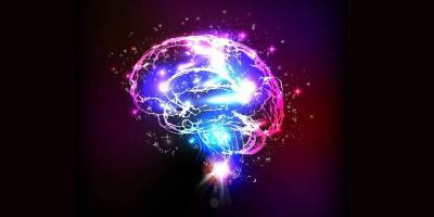 Ученые показали, как мысли движутся в мозге (ВИДЕО) и мира
