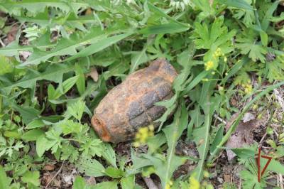 В пригороде Хабаровска житель нашел боевую гранату