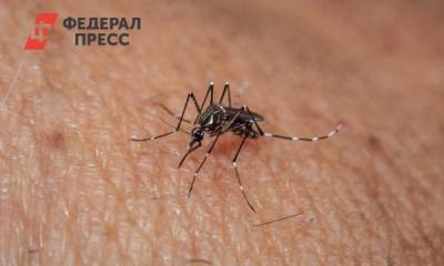 Биолог раскрыл секрет, как комары выбирают своих жертв