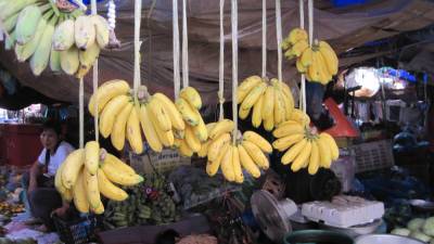 В Эквадоре обнаружили кокаин в бананах, предназначенный для оправки в Россию