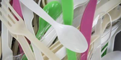 В РФ предложили отказаться от пластиковой посуды и контейнеров