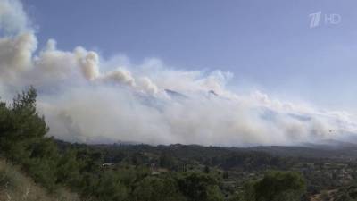 Афины заволокло дымом от бушующих природных пожаров