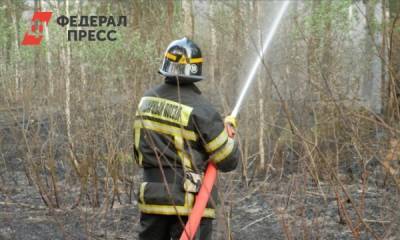 В Свердловской области увеличилось число лесных пожаров