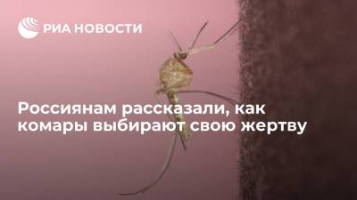 Россиянам рассказали, как комары выбирают свою жертву