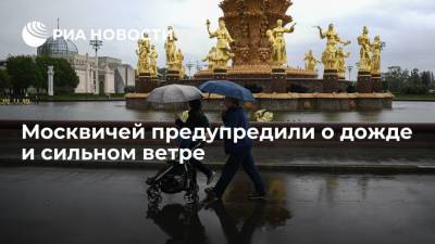 Москвичей предупредили о дожде и сильном ветре