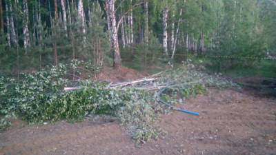 В Екатеринбурге мамы с детьми пытались остановить самосвал на стройке в лесу