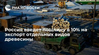 Россия введет пошлину в 10% на экспорт отдельных видов древесины