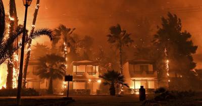 Выжженные дотла дома и немедленная эвакуация: Грецию охватили масштабные лесные пожары (6 фото)
