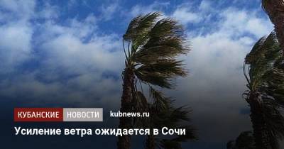 Усиление ветра ожидается в Сочи