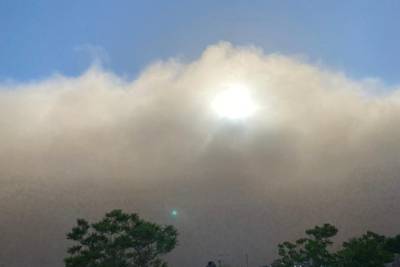 Учёный РАН рассказал, откуда в Астрахань пришла мощнейшая пыльная буря