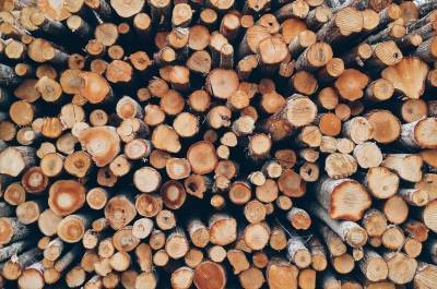 В России вводят пошлины на вывоз необработанной древесины