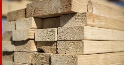 Пошлины на экспорт некоторых видов древесины вводят в России