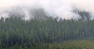 В Сибири не утихают пожары: выгорело 200 тысяч гектаров территории