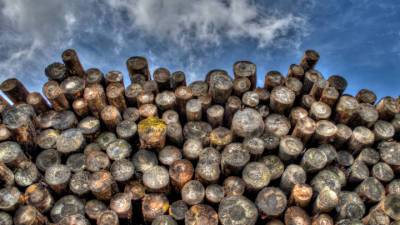 Россия вводит пошлину на экспорт необработанной древесины