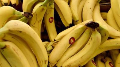 Эквадорские наркодилеры пытались отправить груз бананов с кокаином в Россию