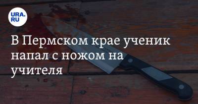 В Пермском крае ученик напал с ножом на учителя