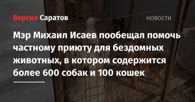 Мэр Михаил Исаев пообещал помочь частному приюту для бездомных животных, в котором содержится более 600 собак и 100 кошек