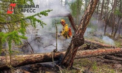 Тюменские пожарные отбили у огня еще 750 гектаров леса