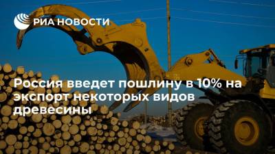 Россия введет пошлину в 10% на экспорт некоторых видов древесины