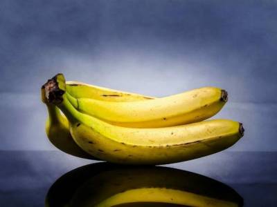 В Эквадоре в грузе с бананами для России опять нашли кокаин