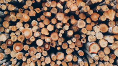 Россия для сдерживания цен введет новые пошлины на экспорт некоторых видов древесины