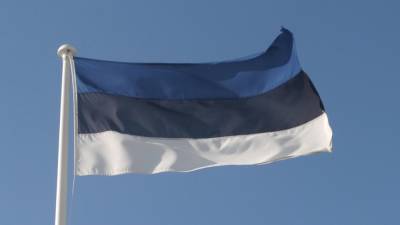 Солдаты НАТО "на защите" Эстонии калечат себя и местных жителей