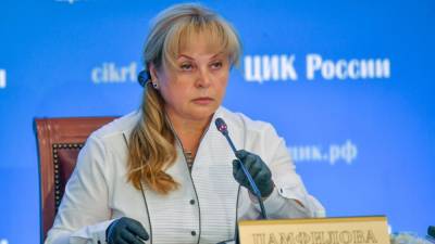 Элла Памфилова призвала четко определить термин "иностранное вмешательство"