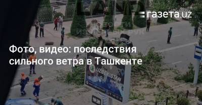 Фото, видео: последствия сильного ветра в Ташкенте