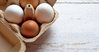 Экспорт яиц из Украины в 2021 году упал в 2,6 раза