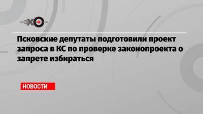 Псковские депутаты подготовили проект запроса в КС по проверке законопроекта о запрете избираться