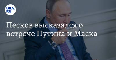 Песков высказался о встрече Путина и Маска