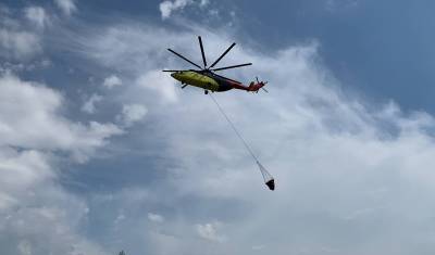 Борьбу с 17 пожарами в Тюменской области ведут самолёт и вертолёты