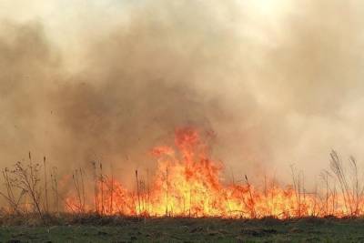 Жители Тверской области рассказали, как в деревне горели лес и дома
