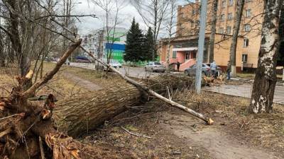 В Москве и Подмосковье – желтый уровень погодной опасности из-за ветра