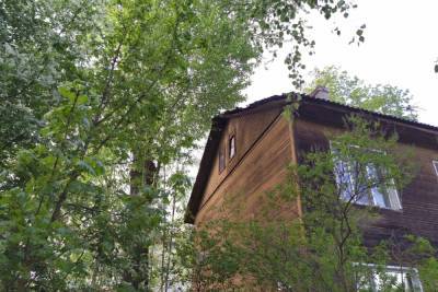 Аварийное дерево, которое упало на дом в Петрозаводске, убрали