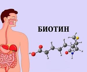 Витамин Биотин: краткое руководство по применению