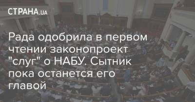 Рада одобрила в первом чтении законопроект "слуг" о НАБУ. Сытник пока останется его главой
