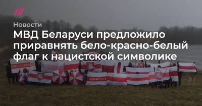 МВД Беларуси предложило приравнять бело-красно-белый флаг к нацистской символике