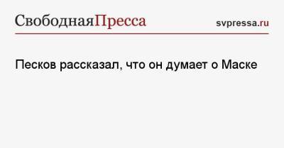 Песков рассказал, что он думает о Маске