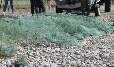 В Башкирии на озере «Кандрыкуль» браконьеры истребили почти всех раков