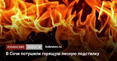 В Сочи потушили горящую лесную подстилку - kubnews.ru - Сочи - Краснодарский край - район Адлерский