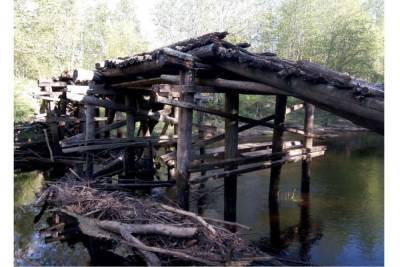 «Переходим реку вброд»: почему жители Плюсского района не могут отвоевать мост