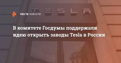 В комитете Госдумы поддержали идею открыть заводы Tesla в России
