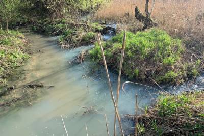 Жители Донского пожаловались на загрязнение реки Ольховец
