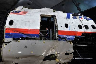 Слушания по делу о крушении рейса MH17 приостановлены до 26 мая